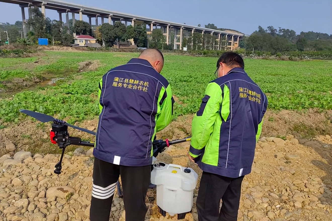 退林还耕农民可以不执行吗,退林还耕政策谁来种地