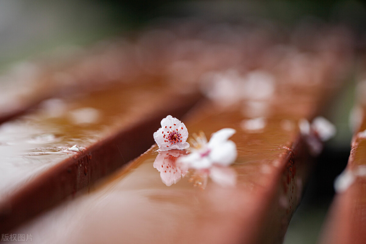 水瓶座长情且深情,水瓶座的深情与无情