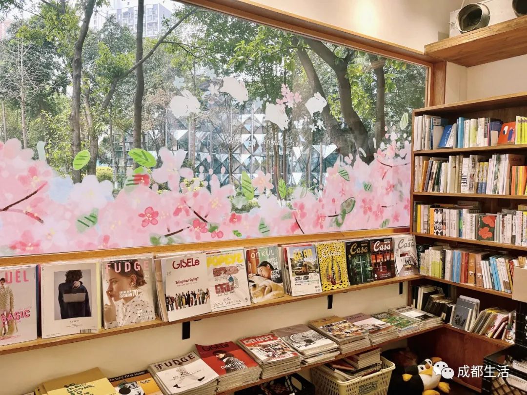 12条时髦老街，长满晒太阳的成都人