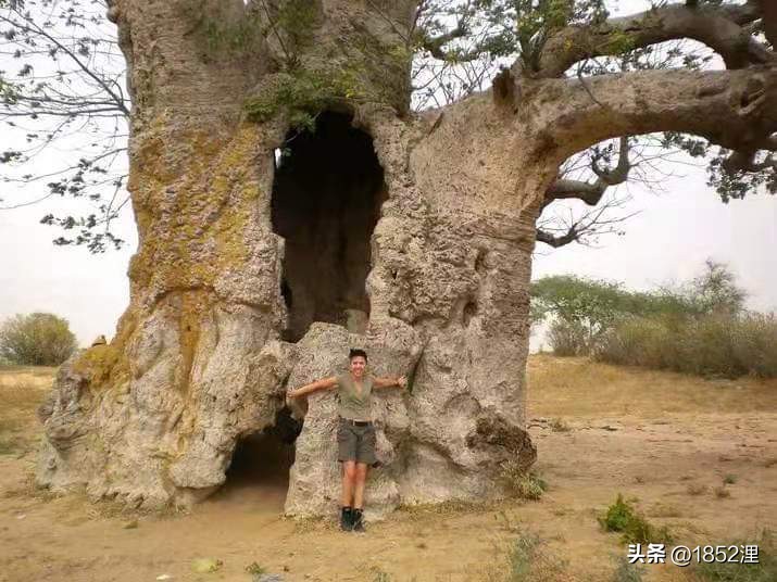 我看不惯船长在船上打篮球不干活故意找他吵架是想让他炒我鱿鱼