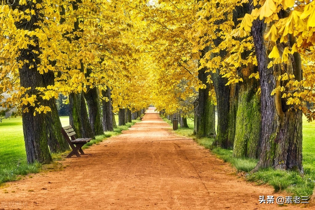 女作家去做保姆474,女作家去做保姆583