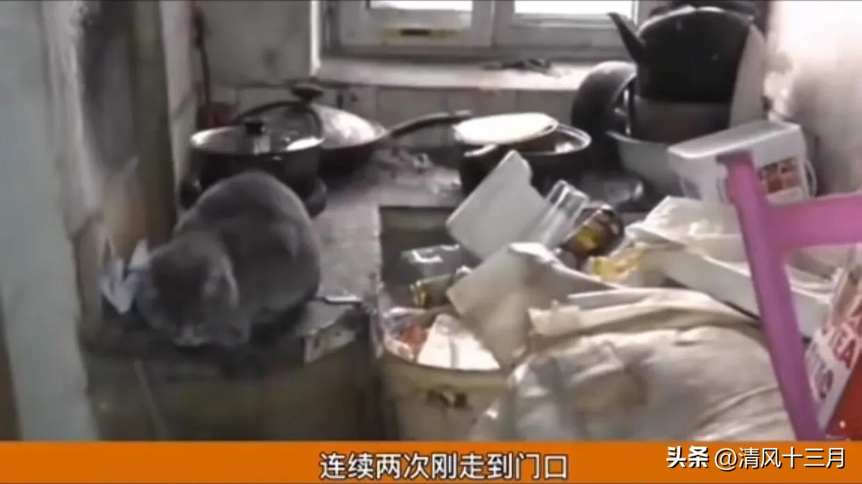 出租房租客不搬离怎么办,房屋出租他不给租金又不走怎么办