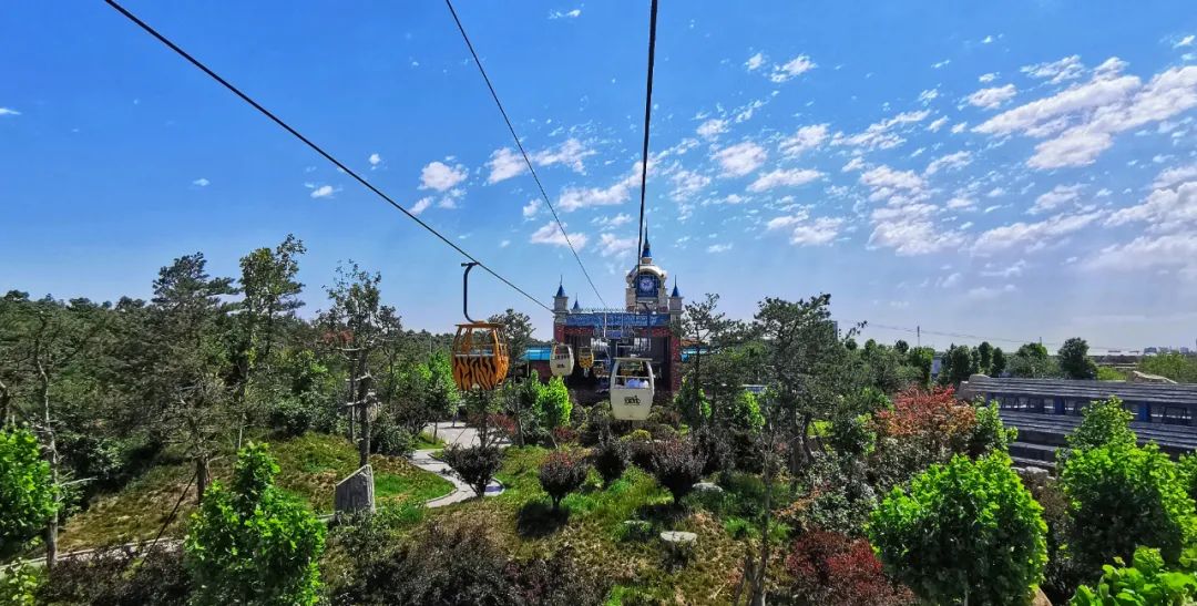 欧乐堡海洋极地公园攻略,欧乐堡最全游玩攻略请收好