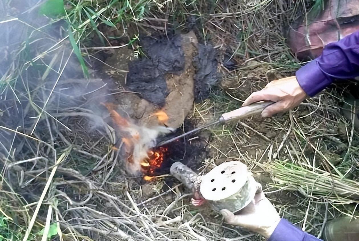 250厘米长眼镜蛇潜入家中惊心动魄,江苏女子上厕所发现蛇