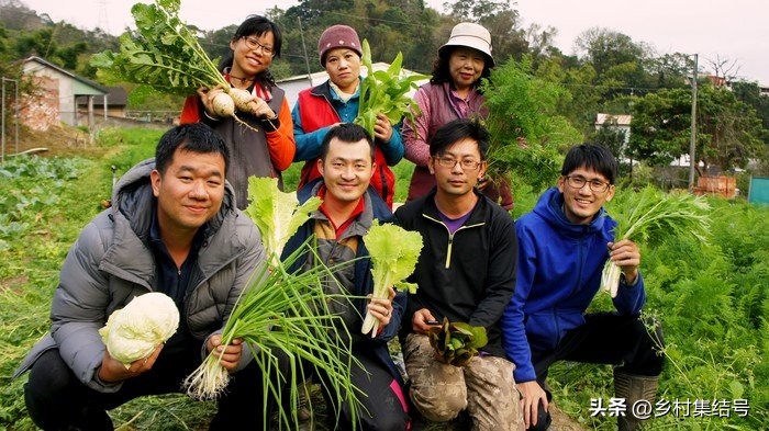 台湾小瓢虫农场,台湾小瓢虫