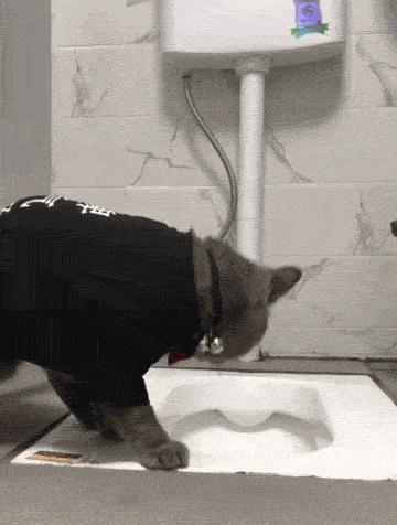 女朋友过生日送七夕礼物,女朋友送我生日礼物感动哭了