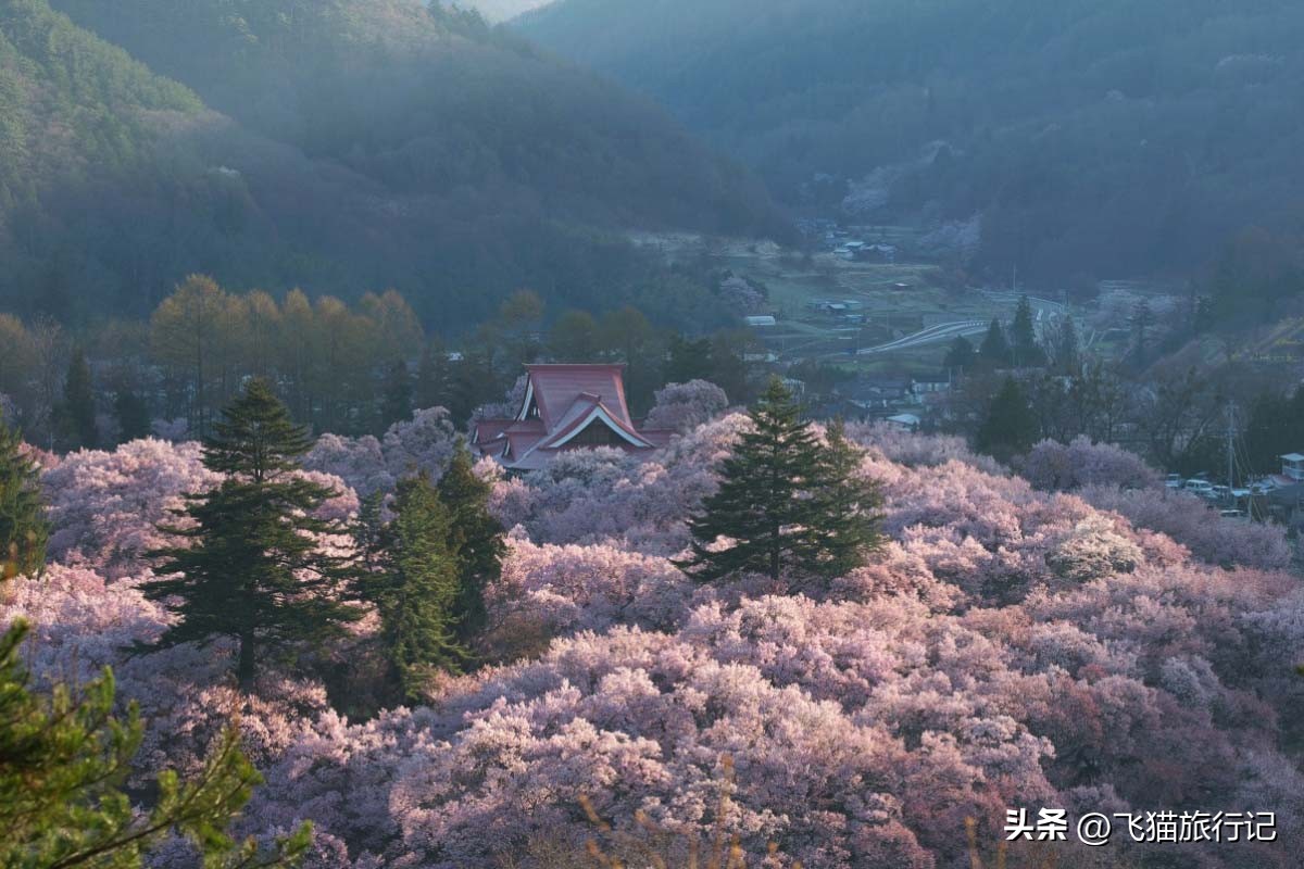 日本旅行小众路线,日本升龙道高山旅游