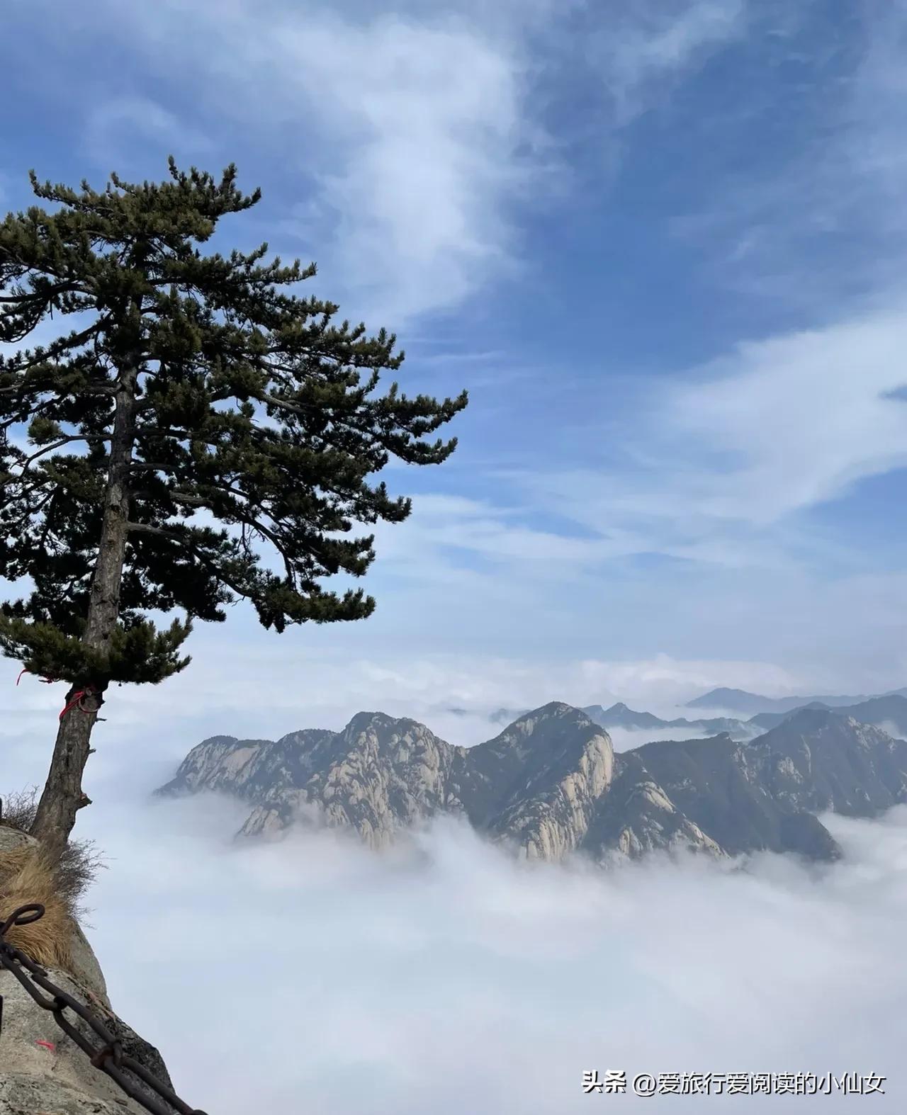 华山旅游必去攻略一日游,华山旅游景点哪里好看一日游攻略