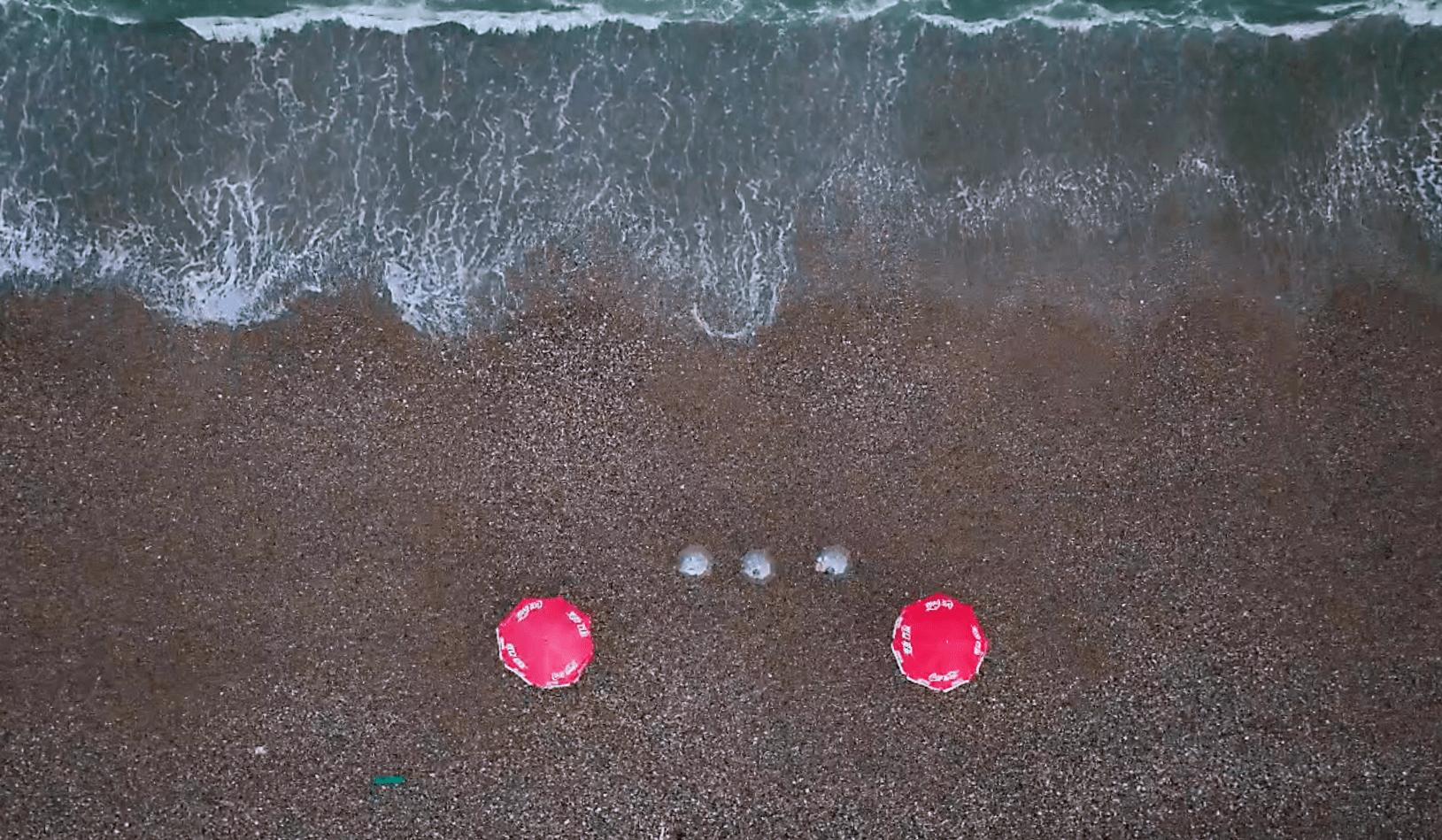 中粮可口可乐荣膺“乡村振兴榜样奖”