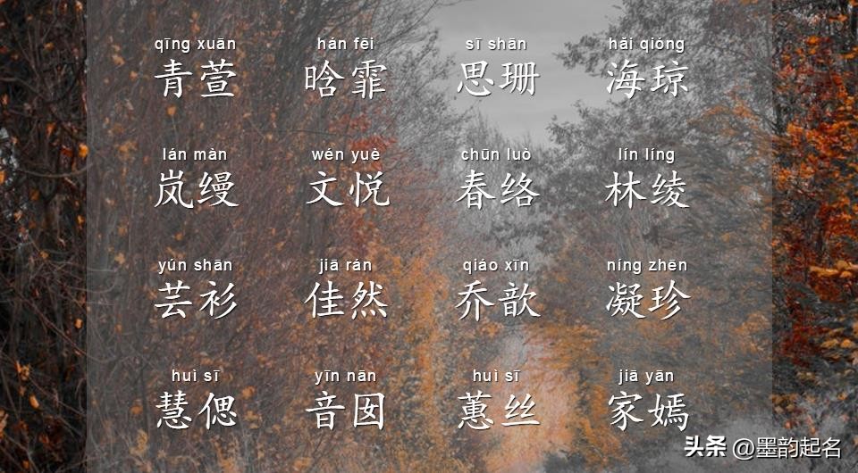 特别唯美的诗句起名,富有诗意的诗词名字