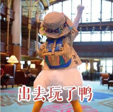 昆明带孩子一日游最佳景点一览表,昆明最火网红打卡景点4月份花海