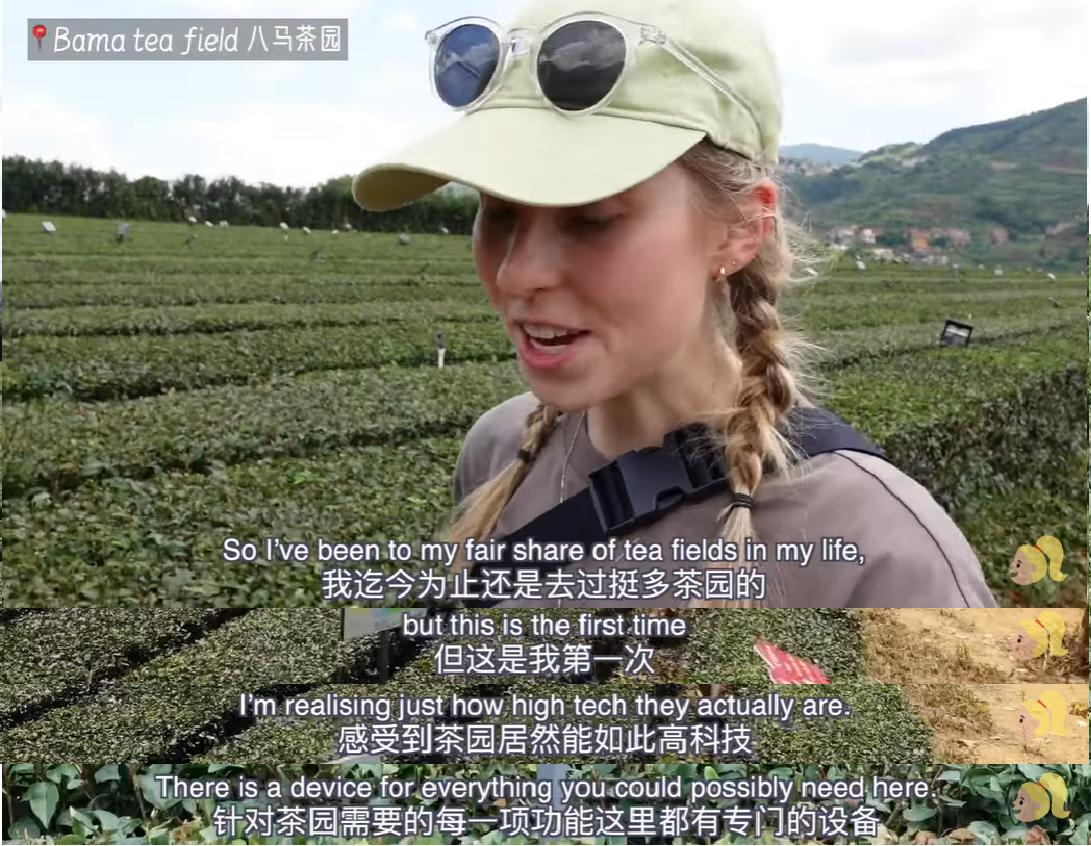 不愧是八马！吸引澳大利亚博主探访，铁观音火到海外去了