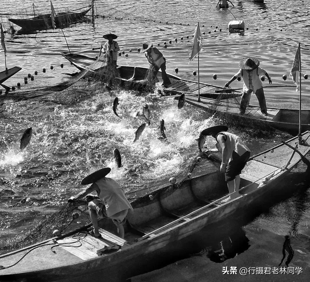 手机拍照和手机摄影的区别,手机拍照摄影基础知识入门