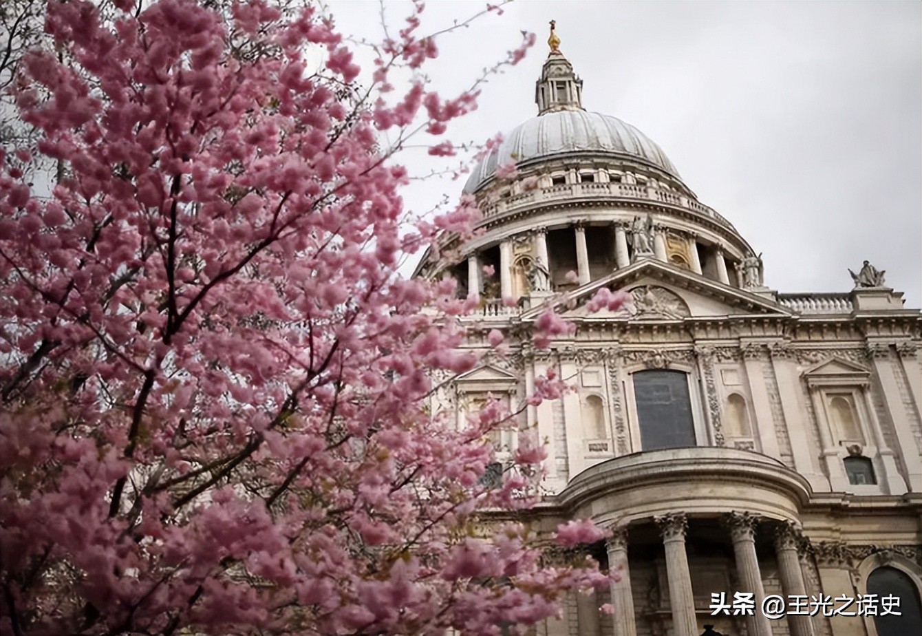 日本人为什么定居巴西,日裔巴西人的现状