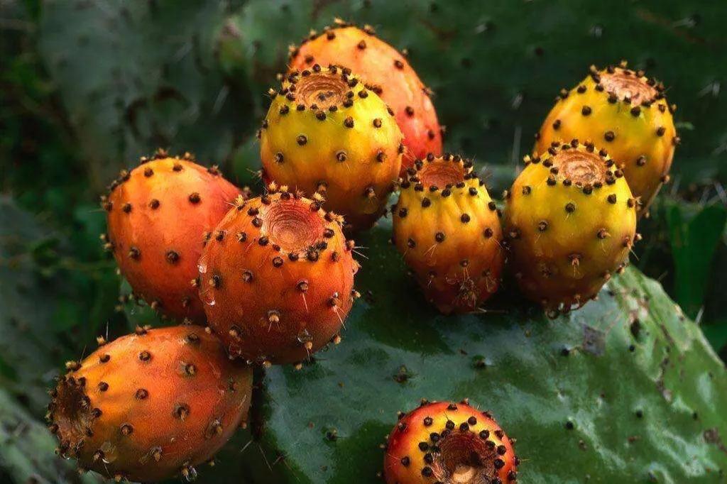 解决便秘即时有效的方法,解决便秘的难言之隐这样做就够了