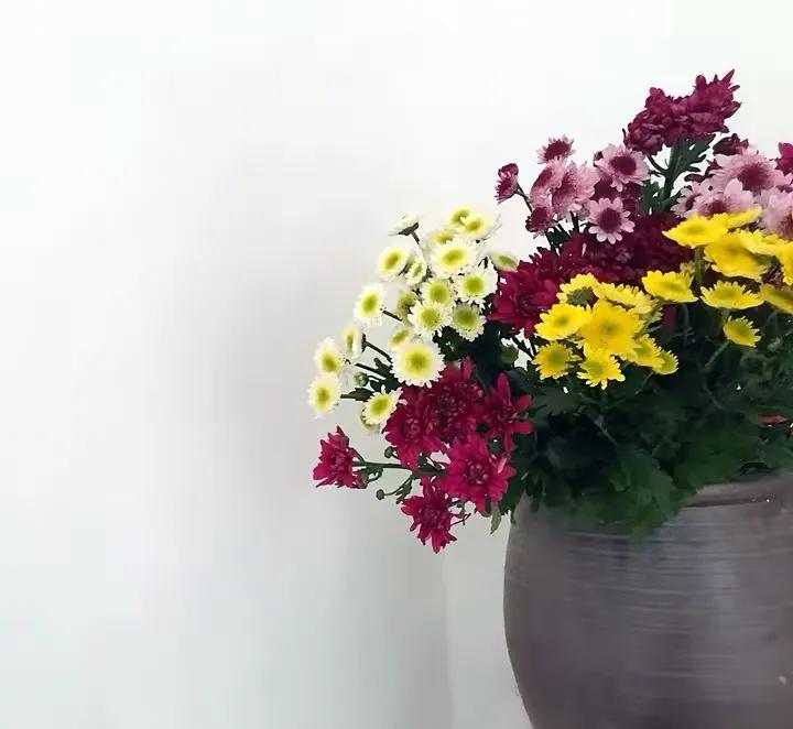 如何花最少的钱改造出租屋,怎样花最少的钱布置出租房