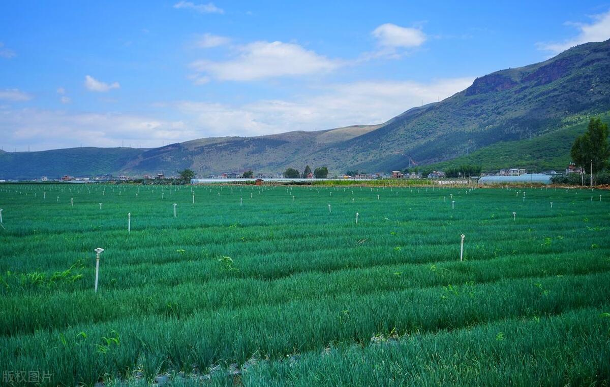 高标准农田建成后分田方案,天祝县高标准基本农田施工方案