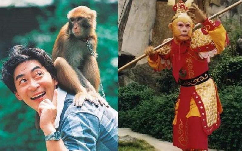 六小龄童抬棺,六小龄童去守墓了吗