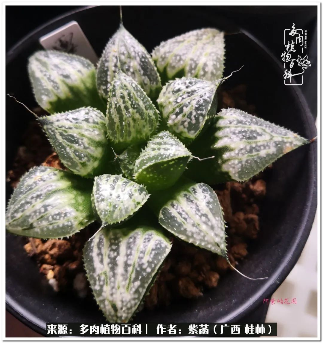 酷暑里的关爱，如十二卷般透亮绵长