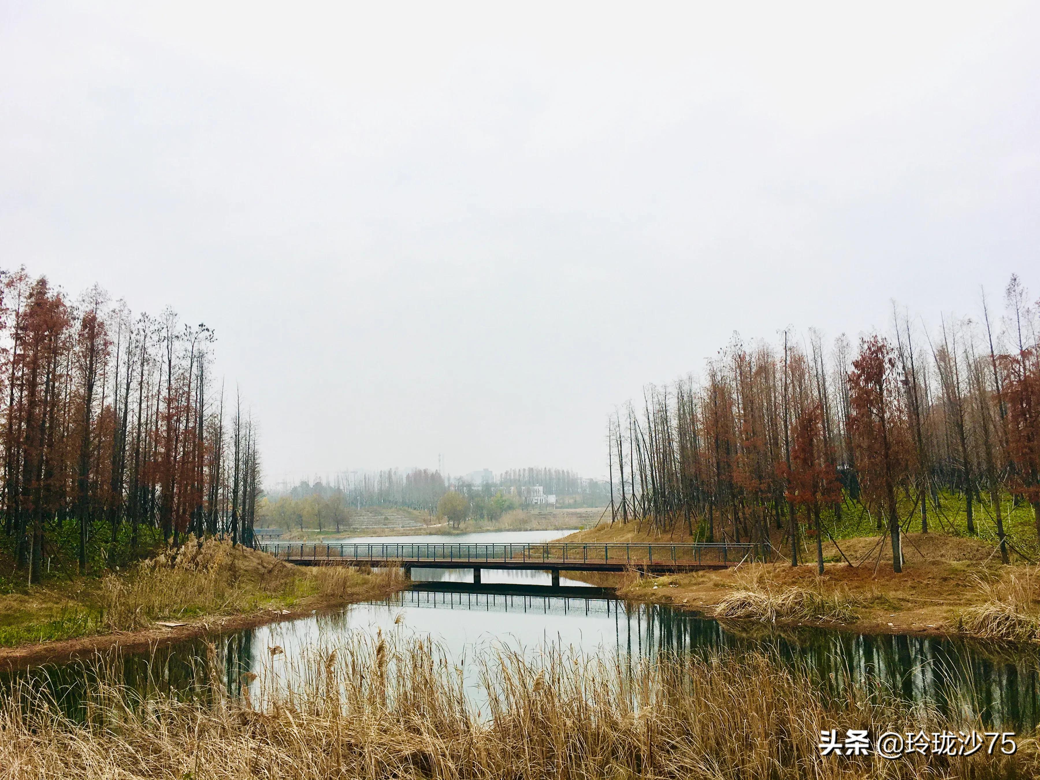 长沙风景美丽的篮球场,长沙王陵公园生态足球场