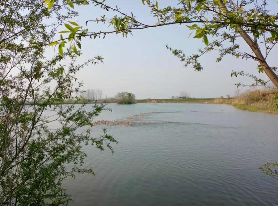 季国强,季国强的唯美诗句