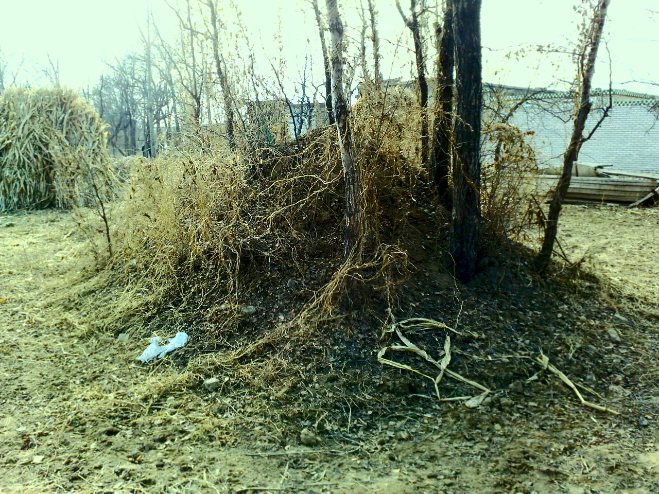 青年无妻无儿去世葬礼怎么办,如果无儿无女死后丧事怎么办