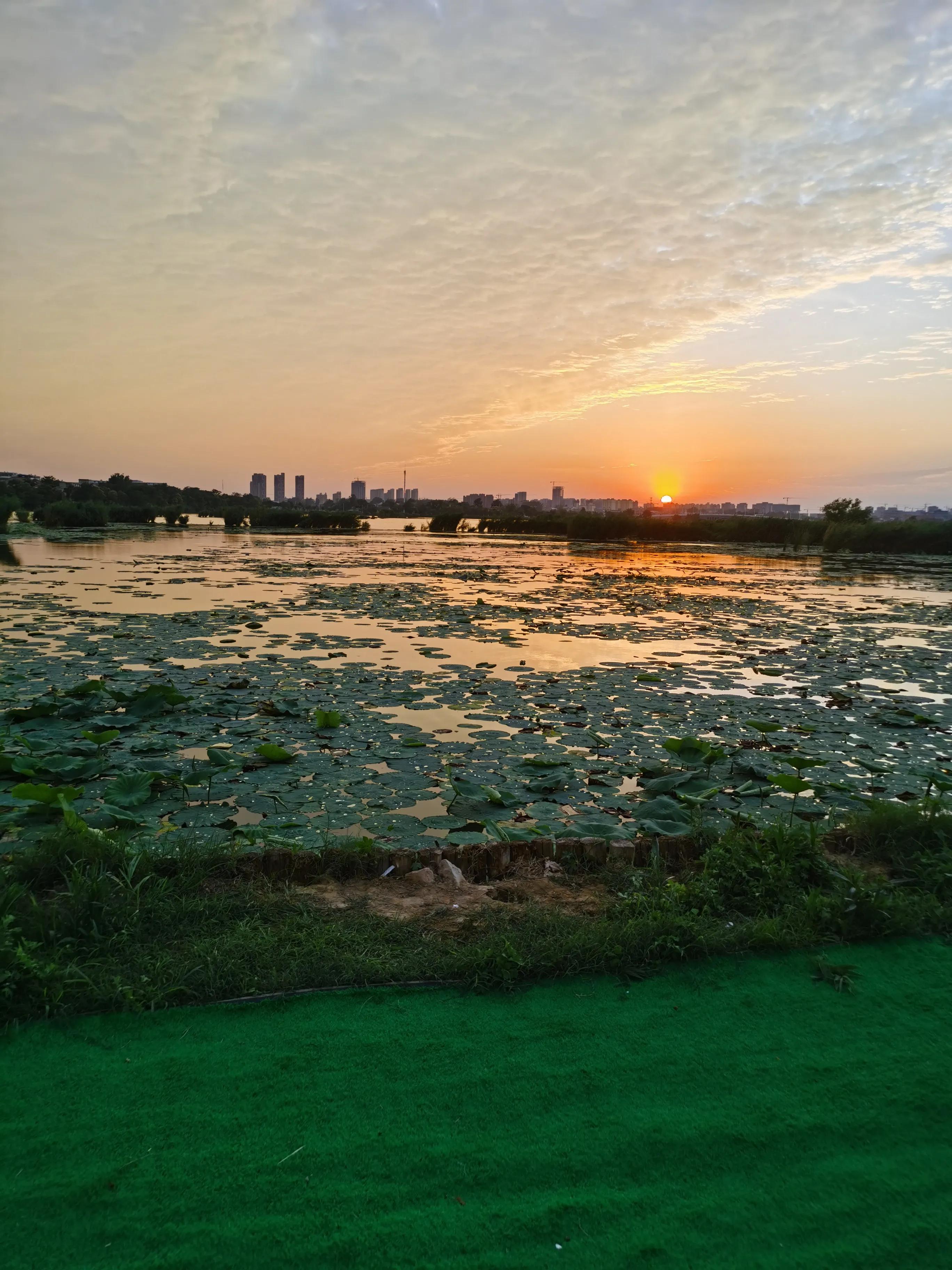 周口教育学院05年院长,周口教育学院简介