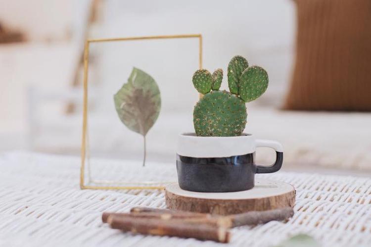 一个人如何投资最合理,如果一个人不舍得钱投资怎么劝说