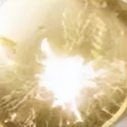 双十一应该囤什么护肤品,双十一囤货必买清单宝妈