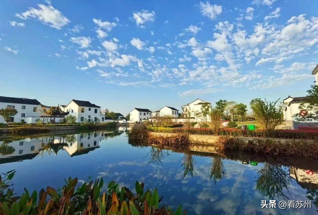 苏州有哪些著名的美食,苏州最出名的地方特色美食是什么