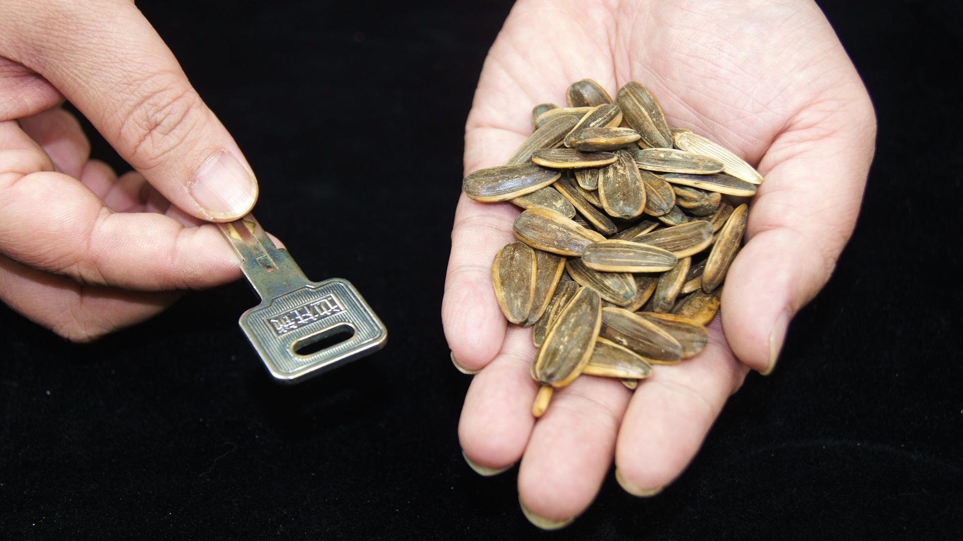 过年吃瓜子皮不用瞎扔了,过年吃瓜子更健康