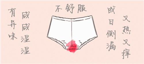 不经常换内裤会导致什么,不经常洗衣服的后果