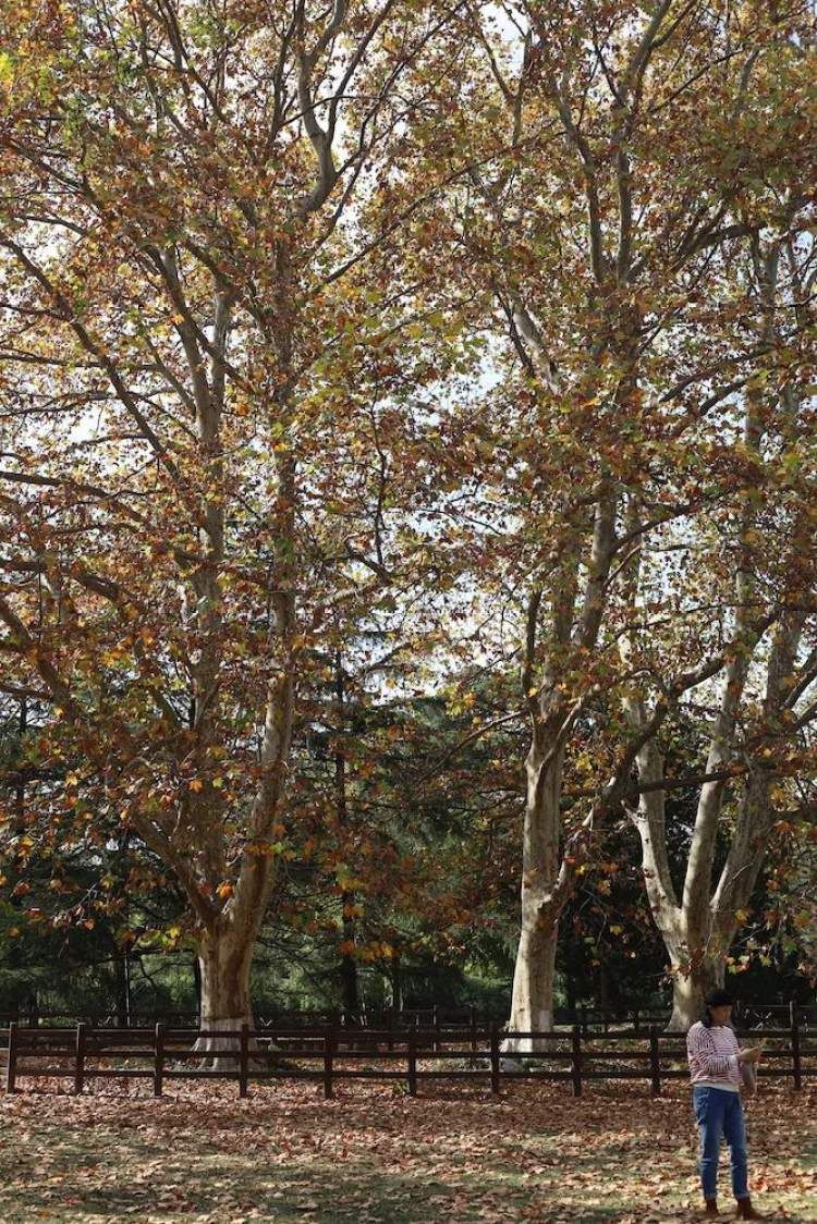 最值得打卡的动物园,国庆必打卡动物园推荐