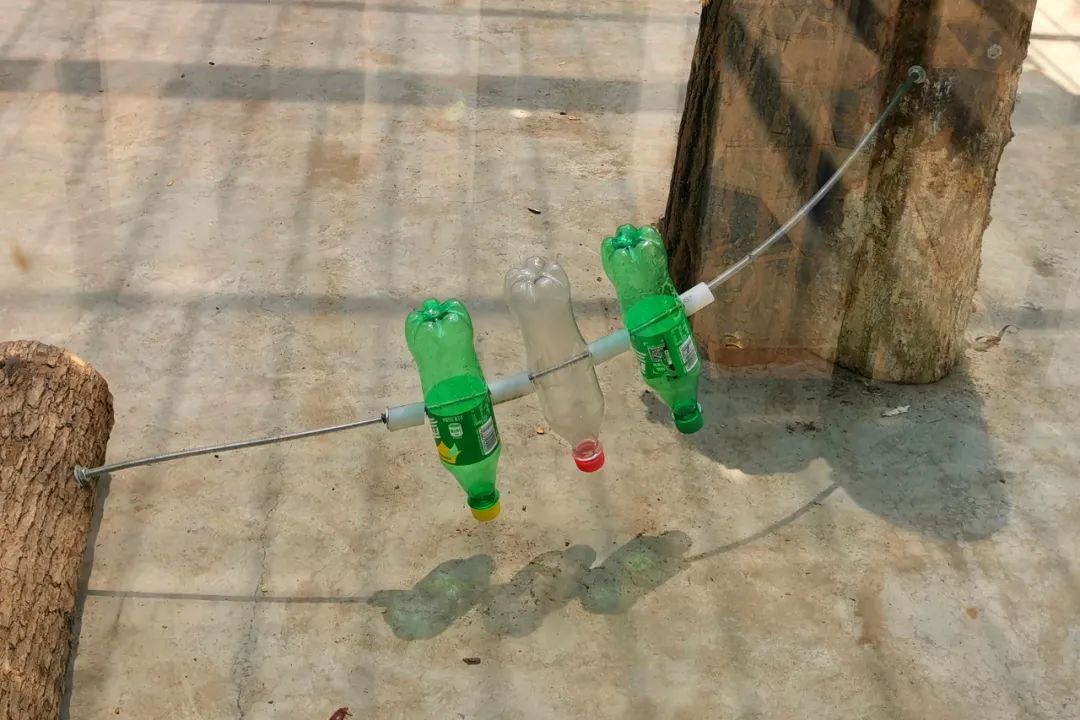 淮安动物园位置,淮安动物园多大面积