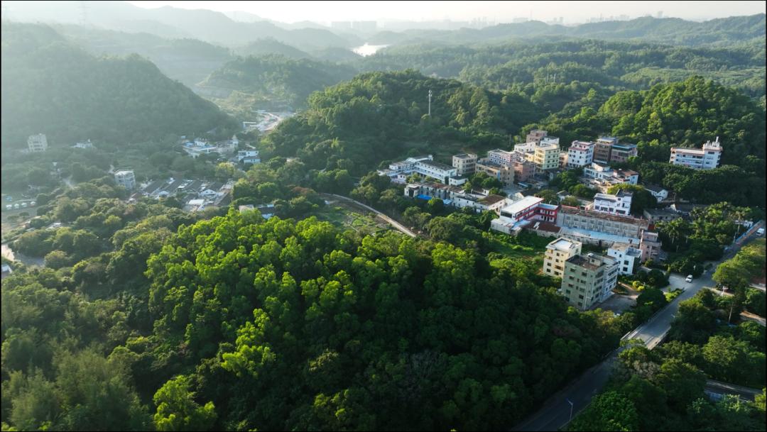 山脉为线，串起叠翠人文！坪山区82.2公里远足径郊野径全线贯通