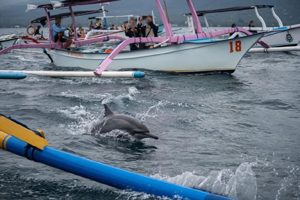 巴厘岛旅游必去100个地方,旅游目的地巴厘岛