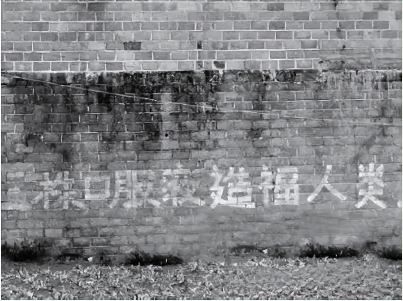 三株口服液现况,90年代三株口服液的老板现在怎样