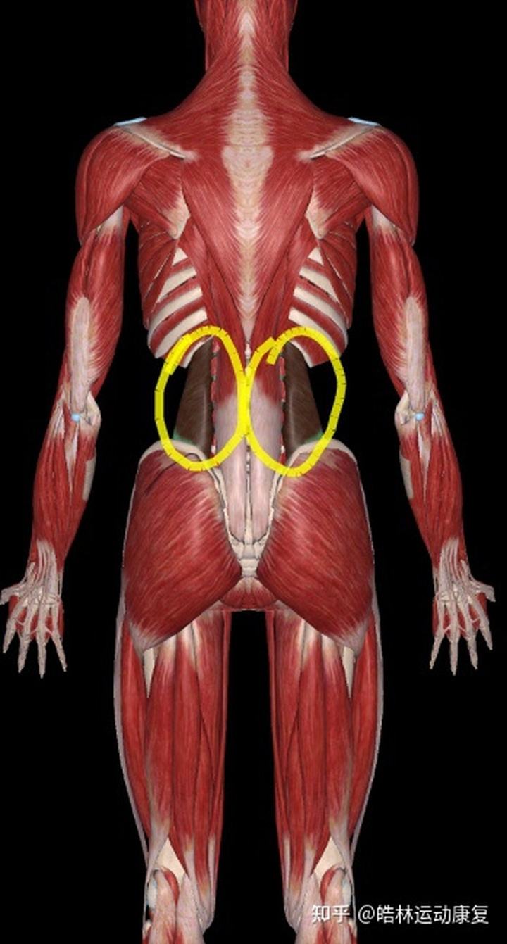 腰痛为什么和脚趾有关,十种原因导致腰痛