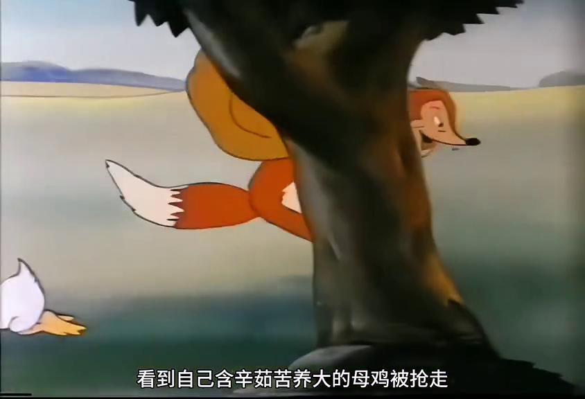 狐狸偷鸡却被鸡给教训了,狐狸偷鸡小鸭