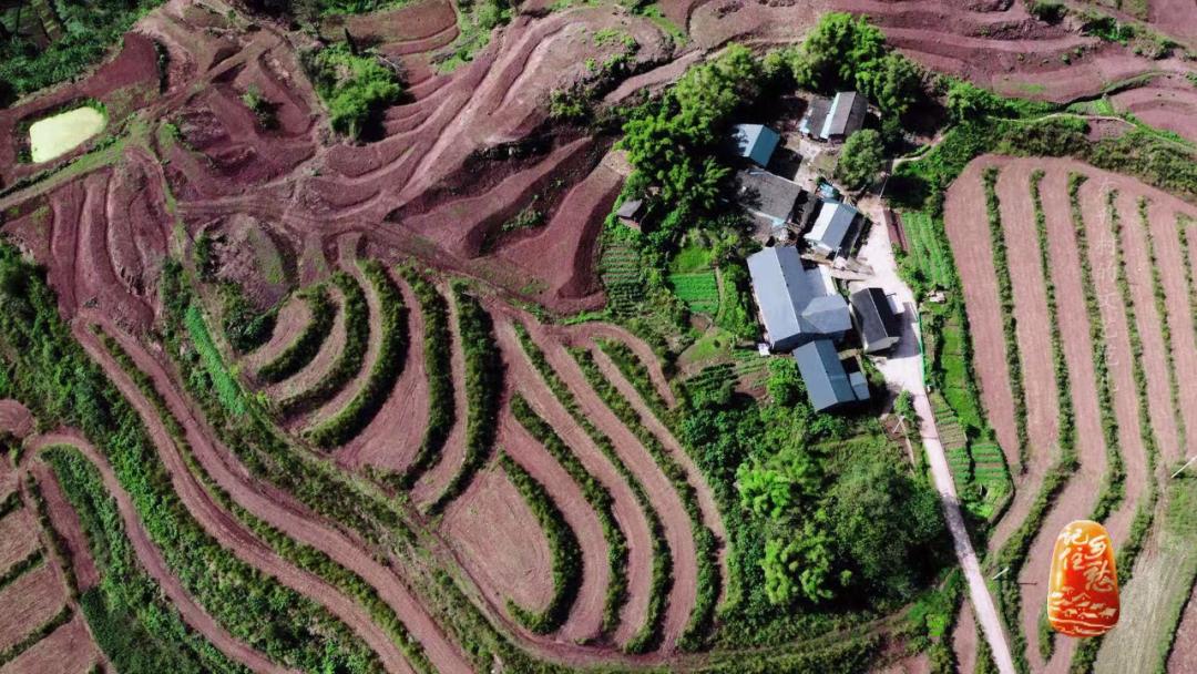 一人一艺，一户一品，来重庆东升村，体验一把文艺范儿生活！