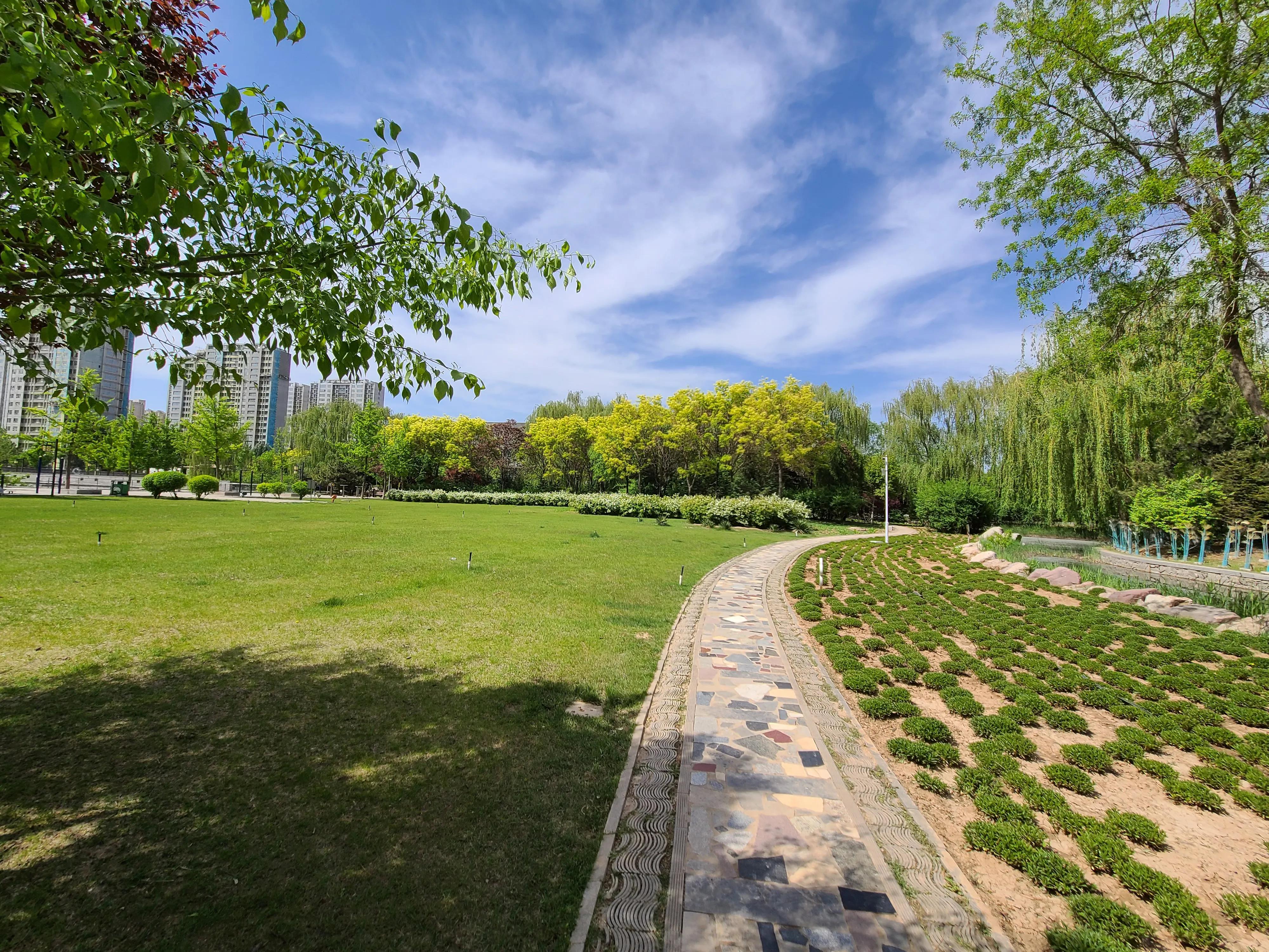 三星s20ultra拍照效果图,三星note20ultra前置摄像头