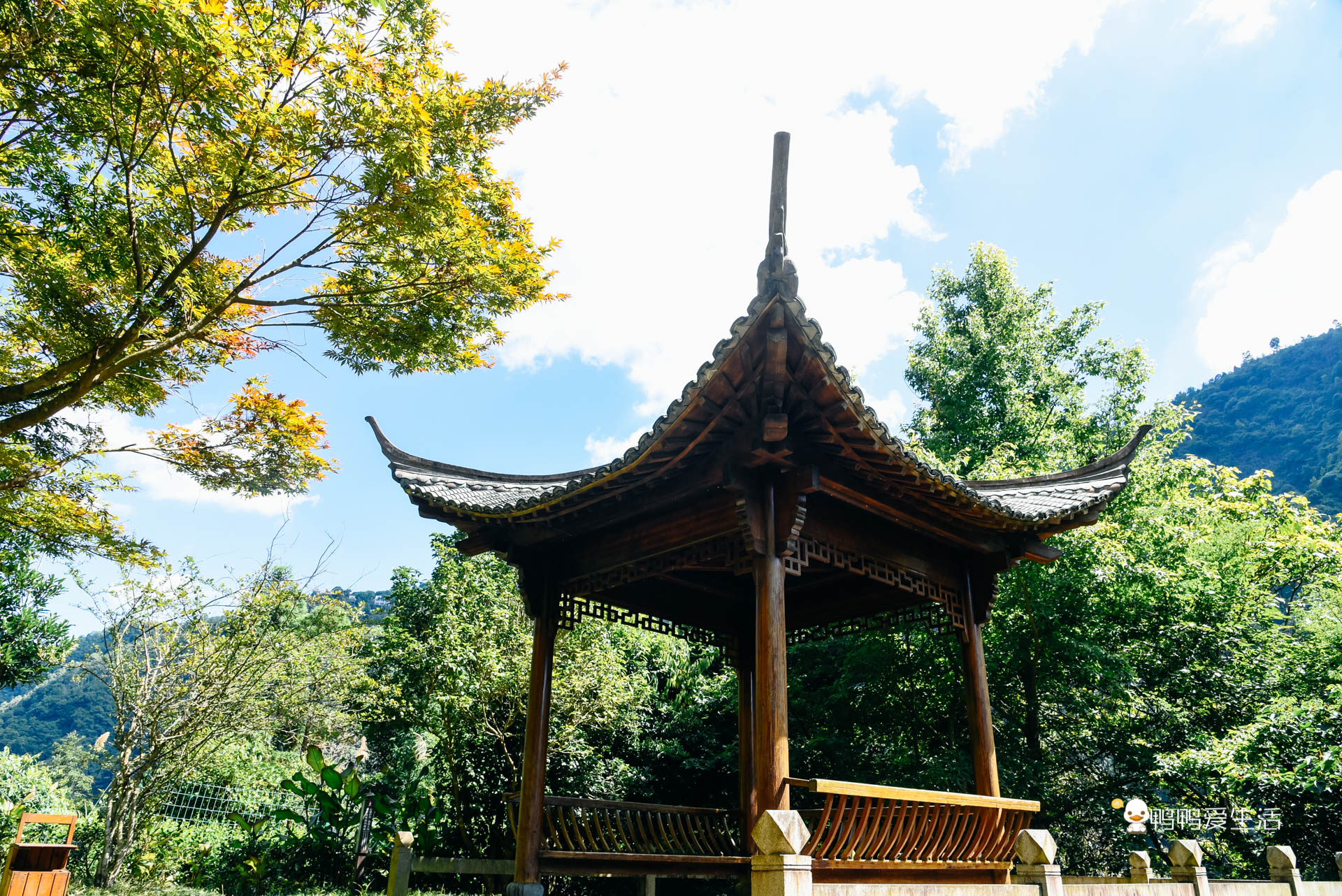 泰顺温泉酒店带私人泡池,温州瓯海泡温泉