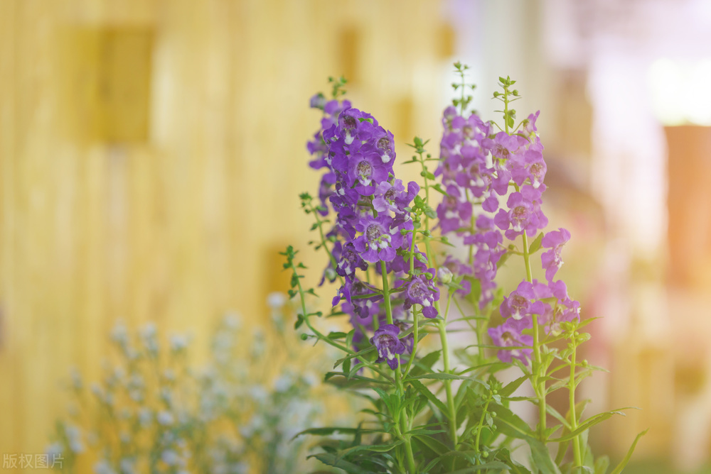 退休之后十件事千万不要再做了,退休了的人还继续工作是什么原因