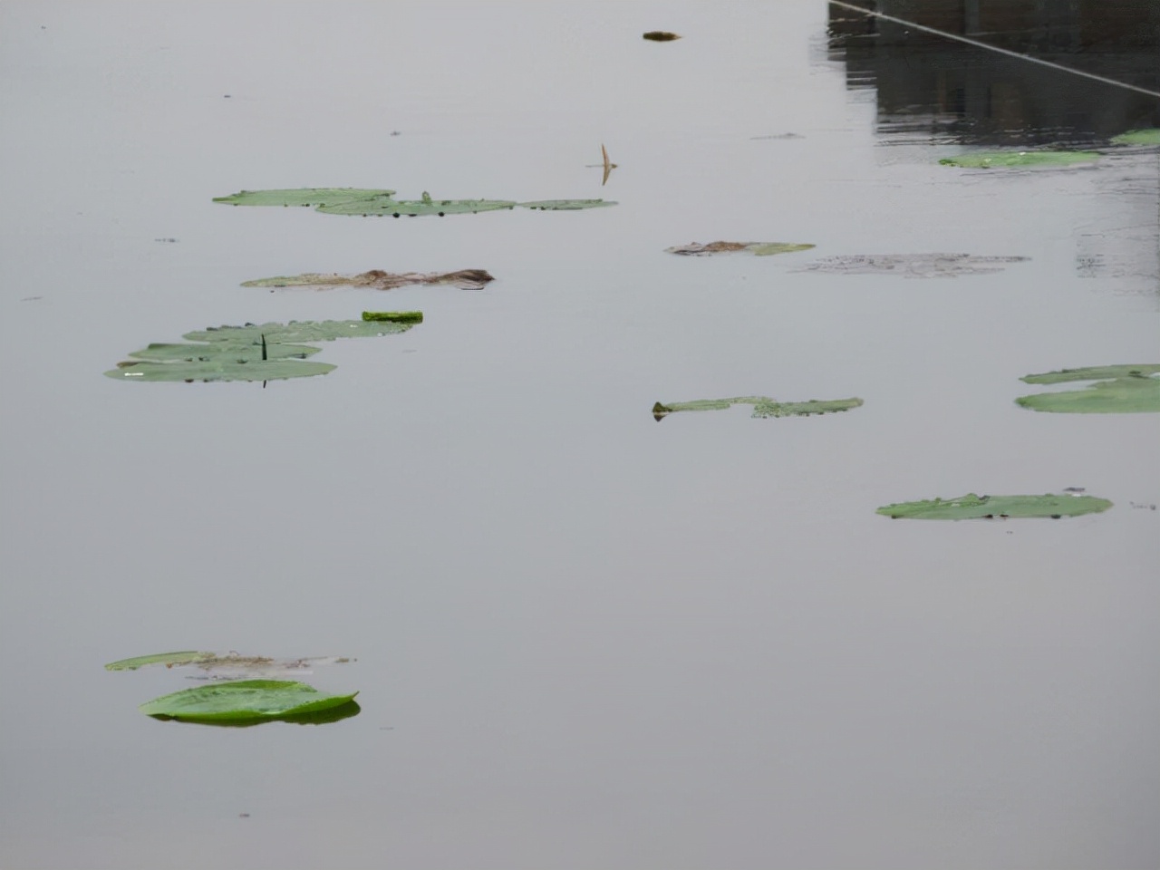 罗永浩这个世界的无聊程度,罗永浩让世界变好一点
