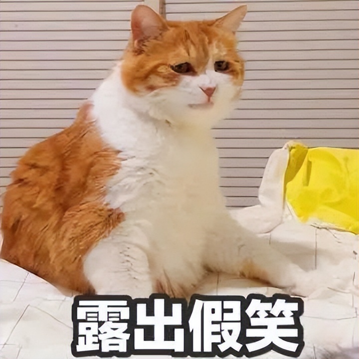 鐢佃瘓鎵撳嚮宸ヤ綔骞寸粓鎬荤粨,鐢佃瘓鎴愮哗