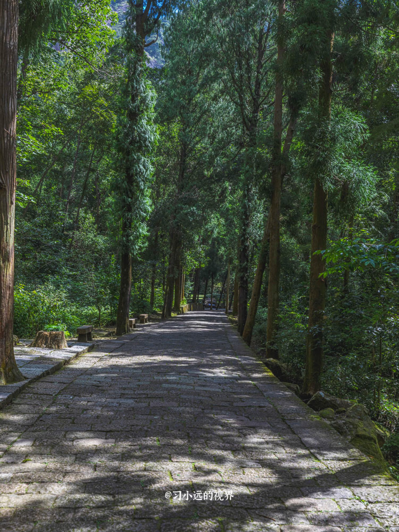 雁荡山旅游攻略2-3天一夜游,雁荡山方洞风景区一日游攻略