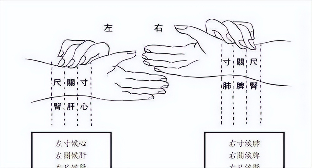 中医怎么看待鼻炎这个病,中医怎么分辨什么类型鼻炎