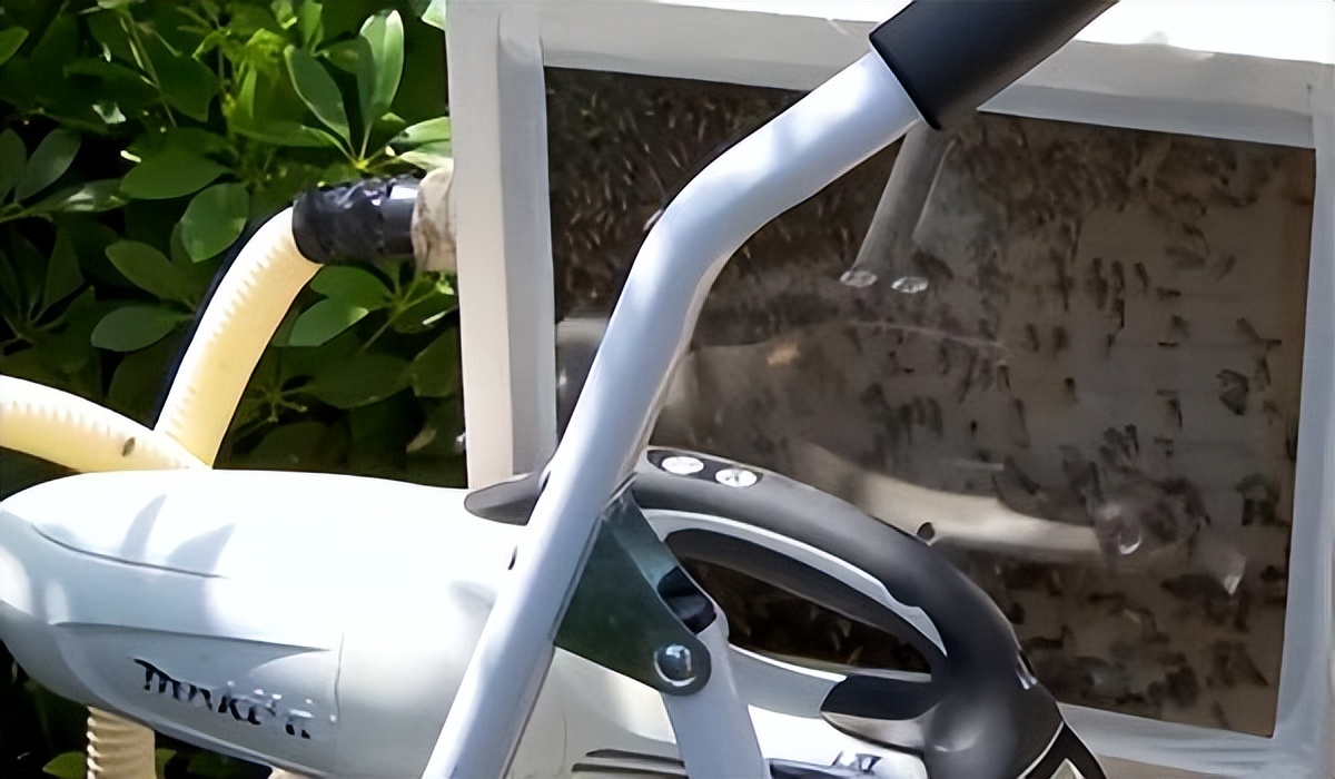 新加坡有哪些热门职业,新加坡搞什么比较赚钱