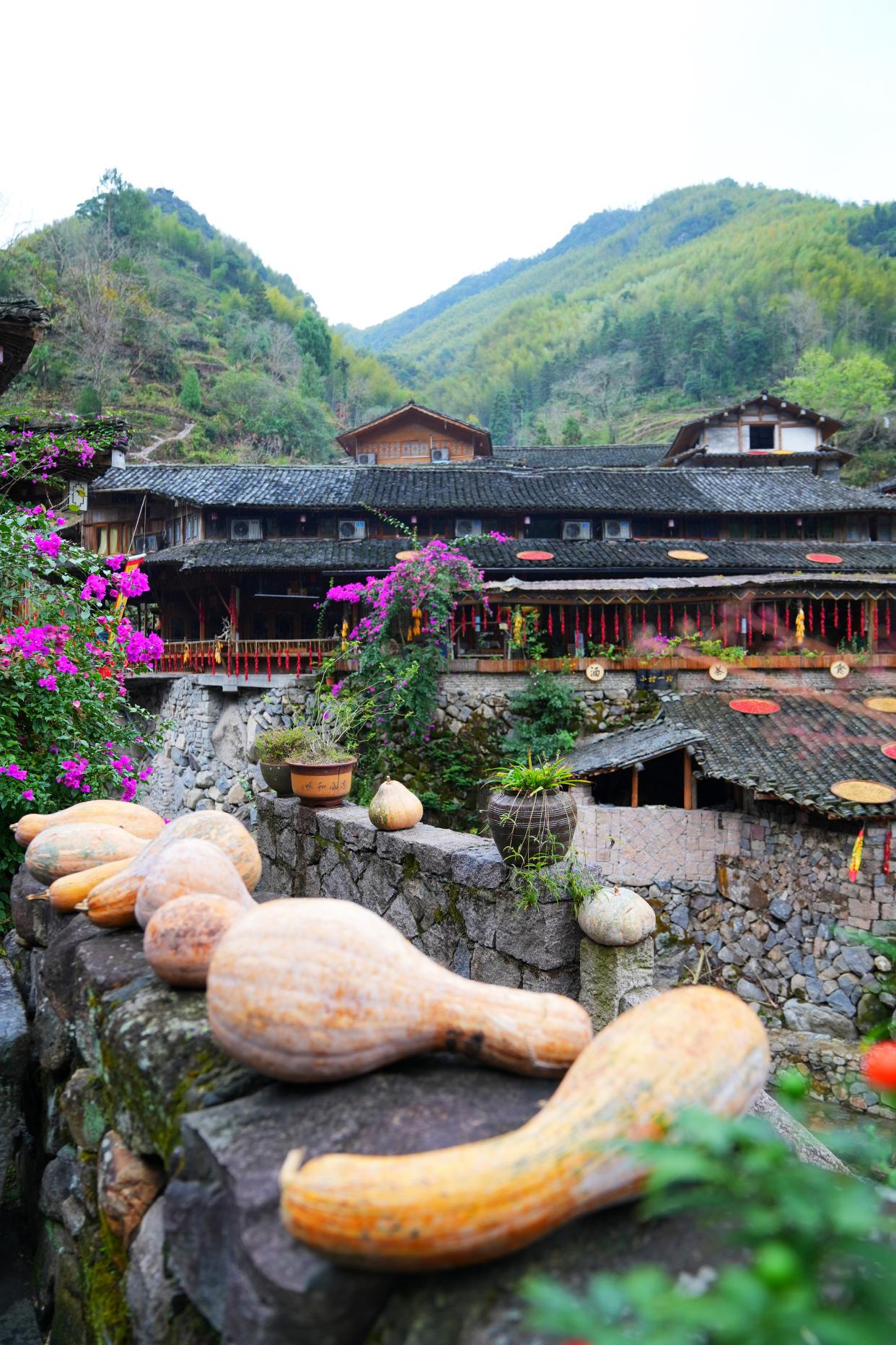 温州山区旅游,温州最美大山古村落