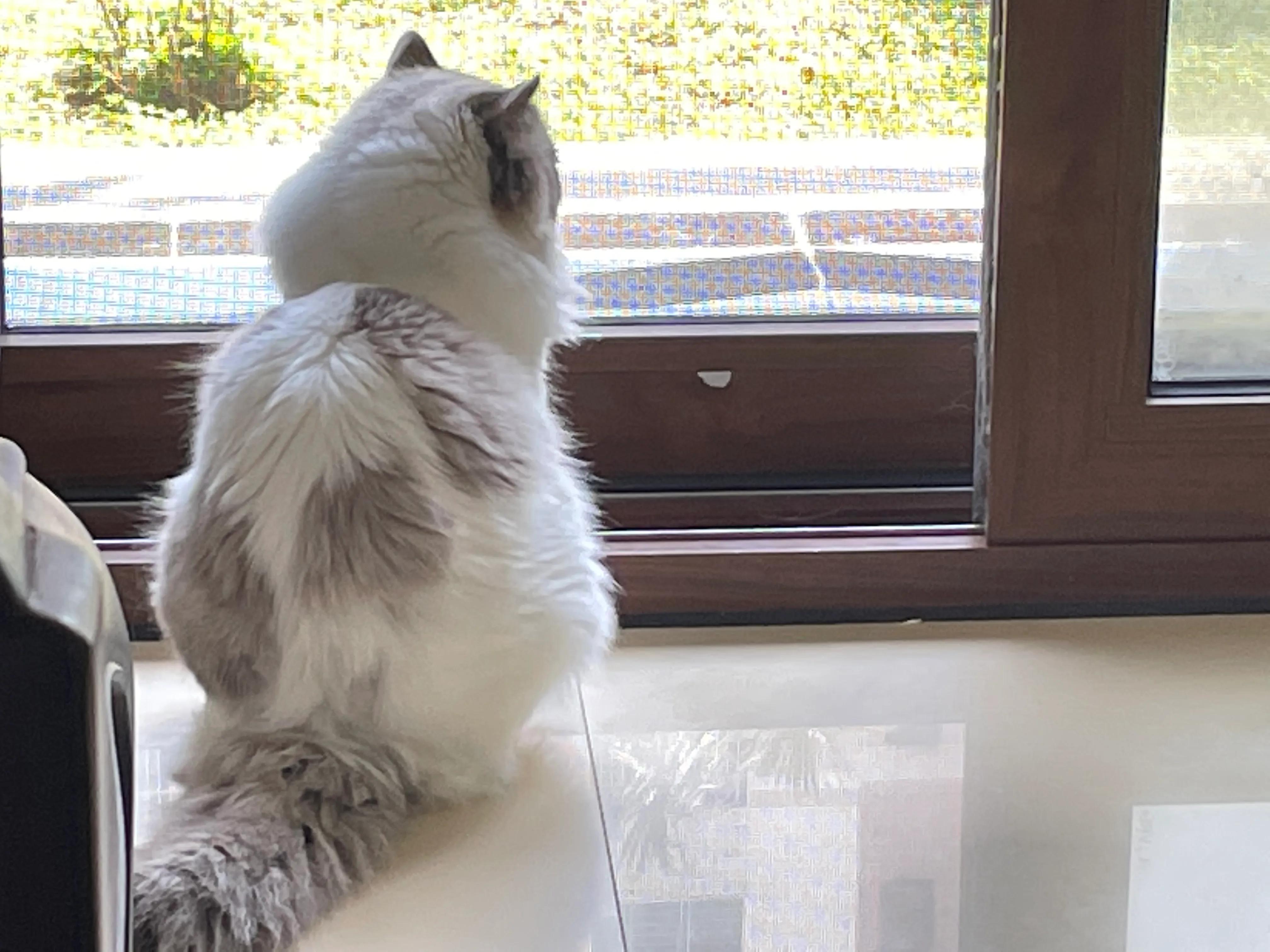 普信男和普信女哪个多,普信男和普信女是什么关系